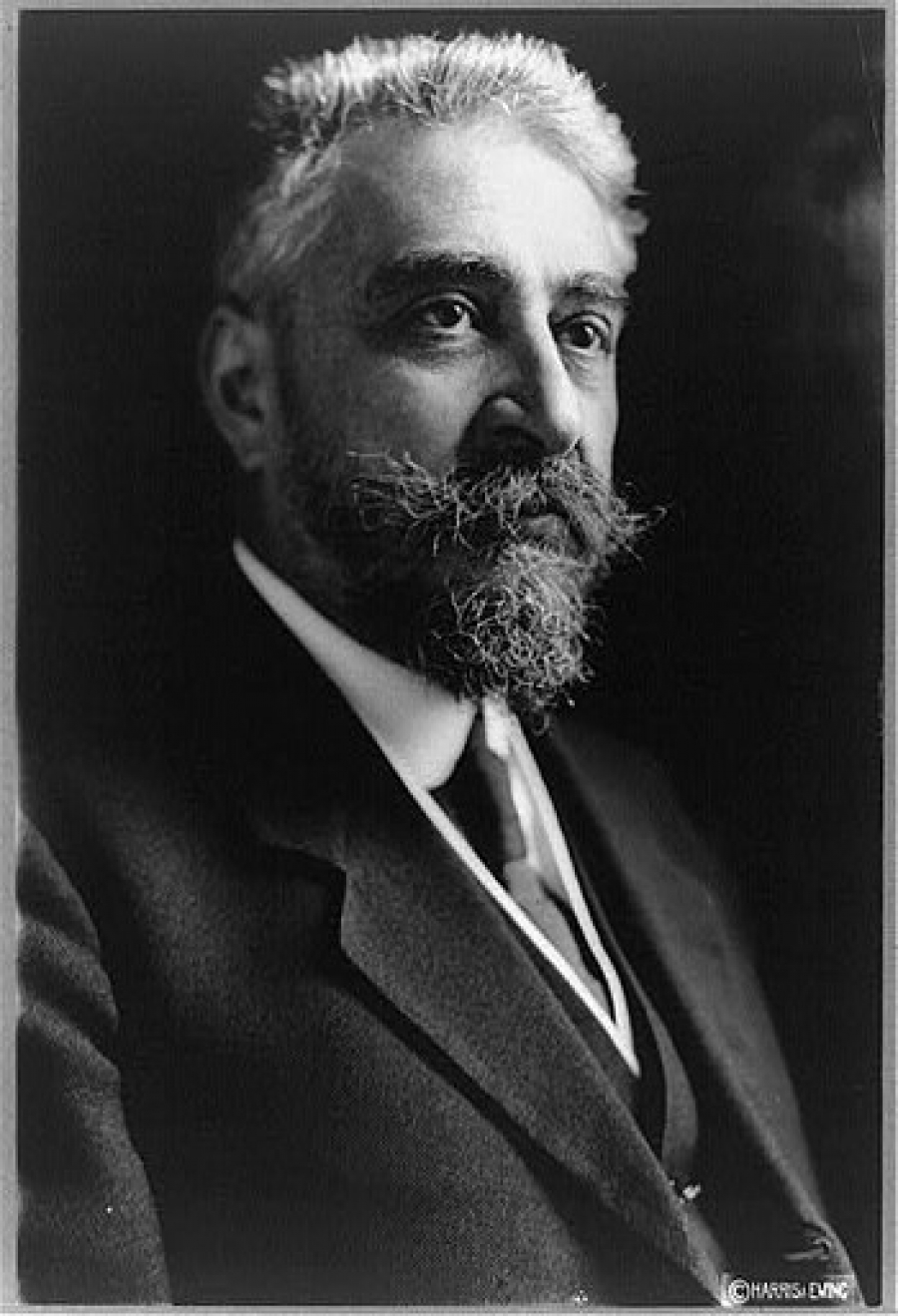 Remember. Ion I.C. Brătianu (1864-1927)