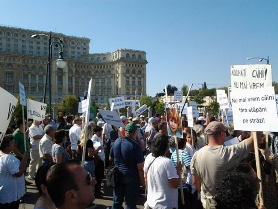 Protest în Parcul Izvor din Bucureşti faţă de problema câinilor maidanezi