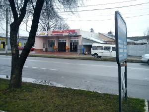 Cu porcul curăţat la… spălătorie!  