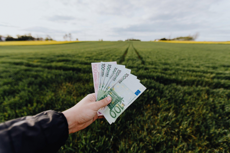 Plăți de peste două miliarde de euro în Campania 2020