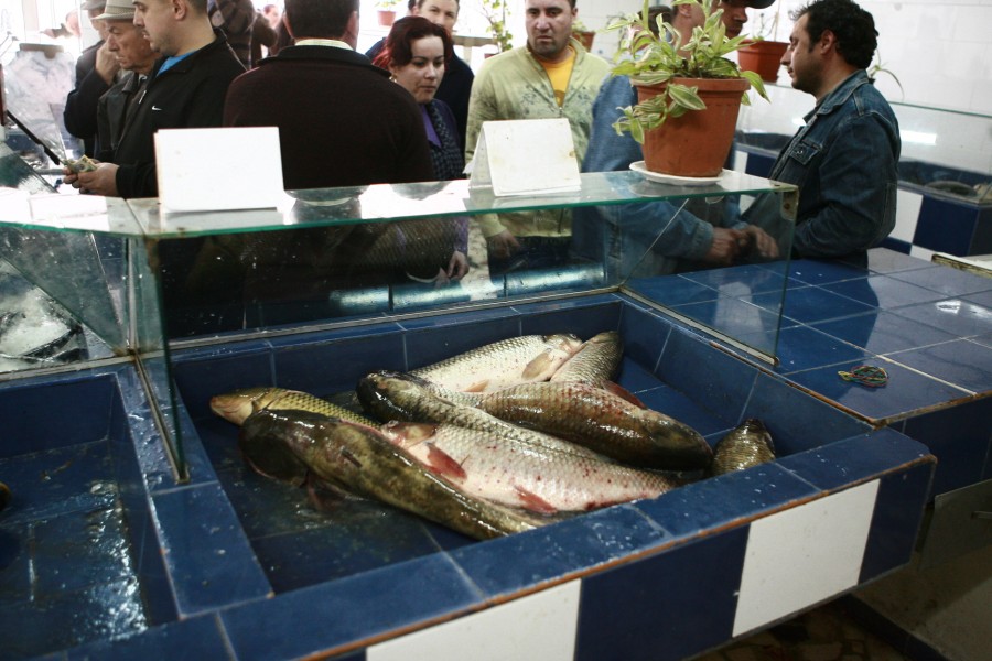 "Fir întins": Proiect de promovare a consumului de peşte