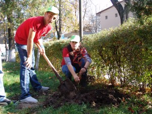 Elevii de la Colegiul &quot;Elena Doamna&quot; au plantat copaci pentru pace