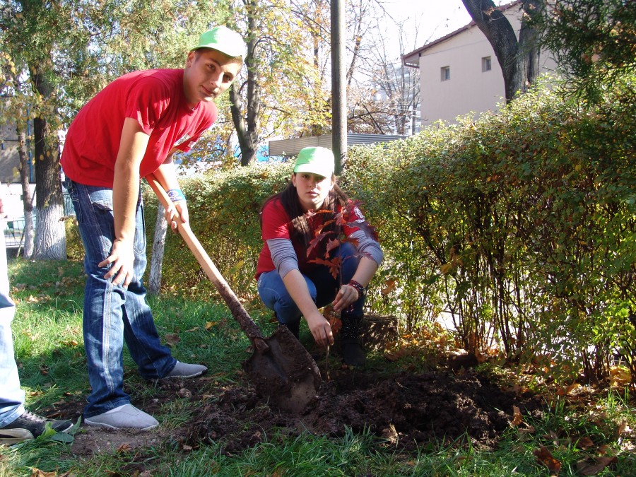 Elevii de la Colegiul "Elena Doamna" au plantat copaci pentru pace