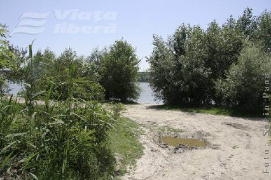 Cine a privatizat malul Dunării