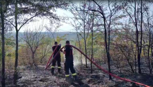 Incendiu de vegetație pe 12 hectare, la Cuza Vodă (VIDEO)