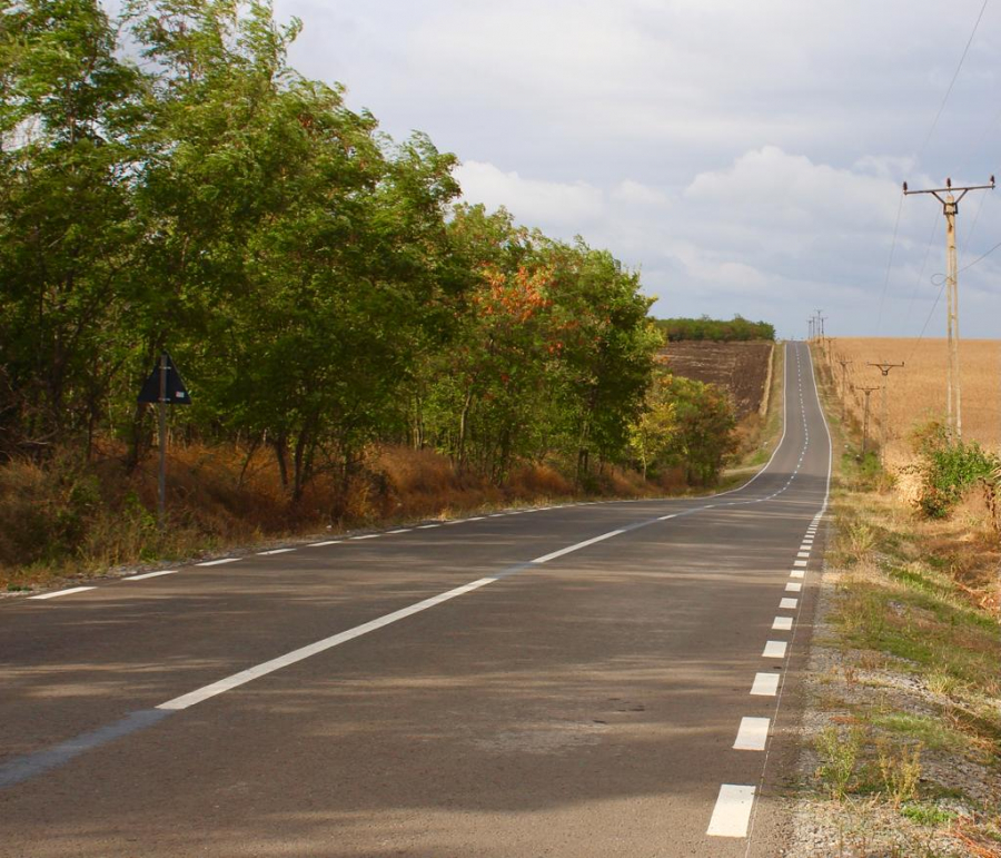 Cum ar putea fi împădurite zeci de hectare din județul Galați