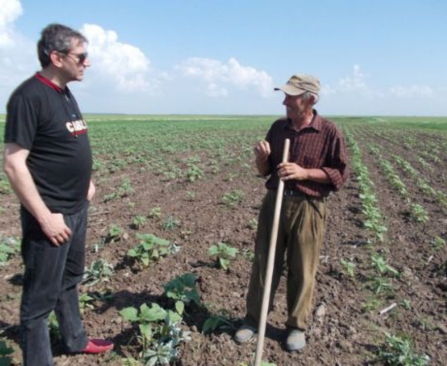 Unde sapă sapa locul, sare din boscheți norocul