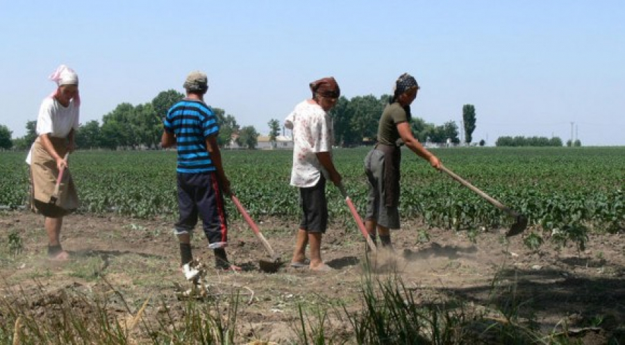 Tariful zilierilor, cu 1,6 lei mai mult pe oră