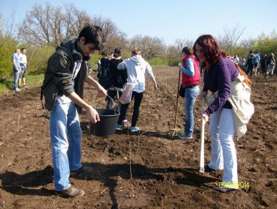 CATEDRA/ Un colegiu gălăţean, pe locul al şaptelea în lume la plantat copaci