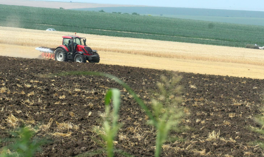 APIA Galaţi a început plăţile în avans pentru subvenţiile agricole