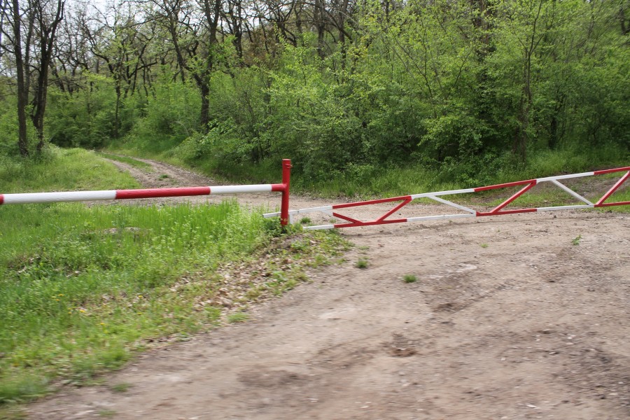 Puncte de observare şi adăpători, în curând, în Pădurea Gârboavele