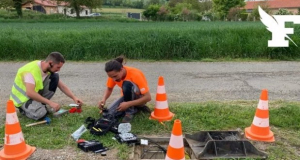 Rețele de telecomunicații din Franța, sabotate