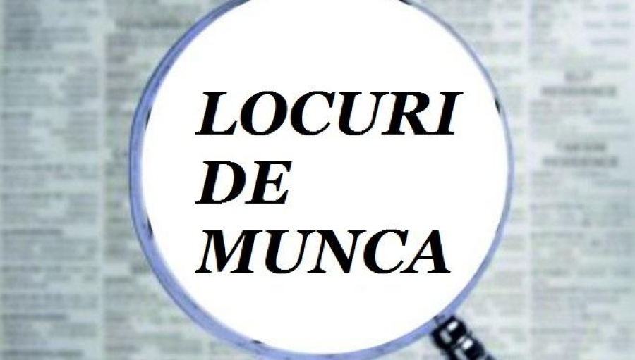LOCURI DE MUNCĂ | Peste 400 de posturi vacante, prin AJOFM