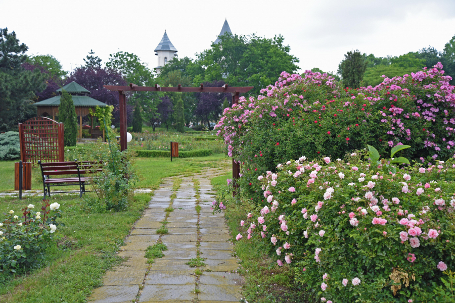 Program special de Rusalii, la Zoo şi Grădina Botanică