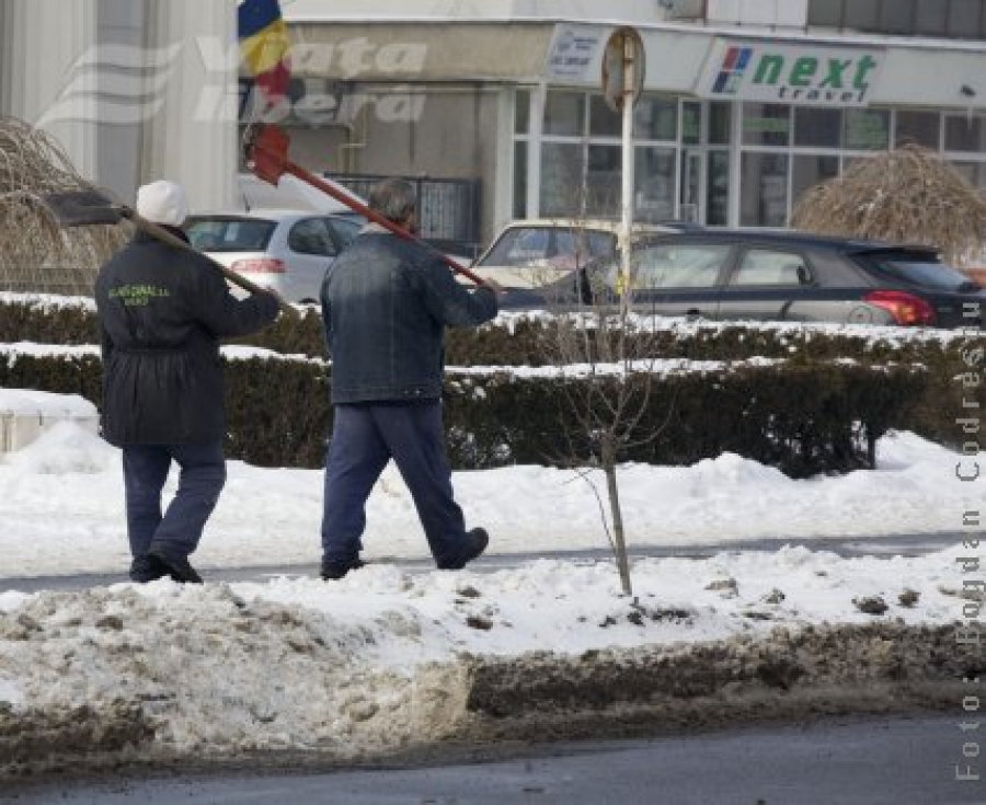 Cu lopata la purtător 