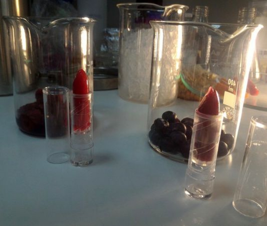 RUJ molecular din fructe comestibil inventat în România