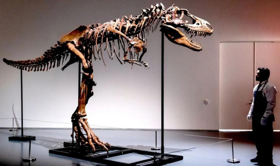 Fosilă de dinozaur, vândută cu 6 milioane de dolari