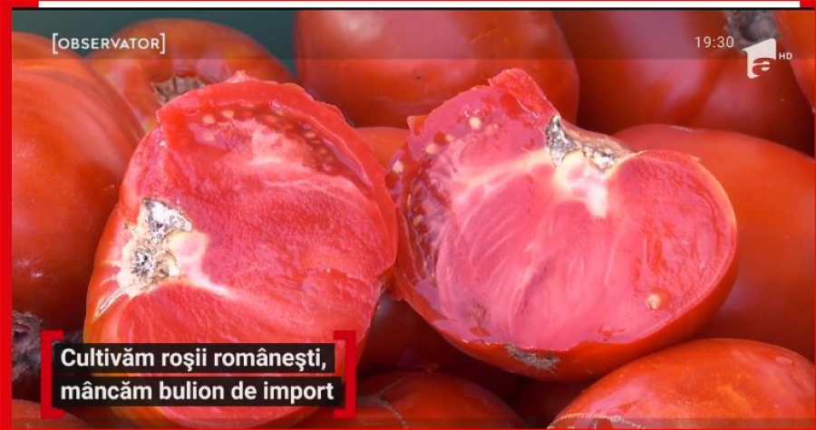 Cum se face pasta de tomate fără tomate