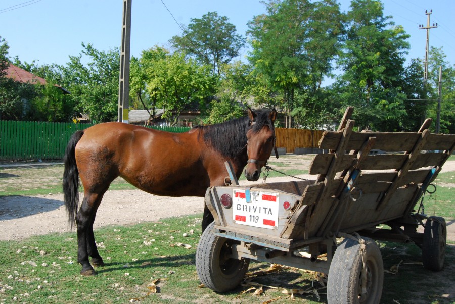 Haiducie marca Bereşti-Meria: Sătean bătut şi lăsat fără mijlocul de transport