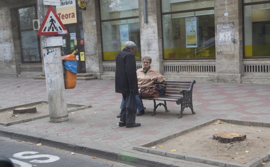 Erau sau nu USCAŢI COPACII? Verdictul Gărzii de Mediu privind TĂIEREA TEILOR