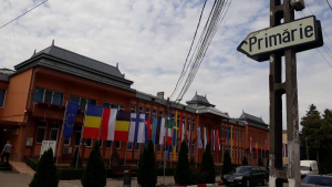 UPDATE Alegeri locale parțiale: Succes PSD la Târgu Bujor