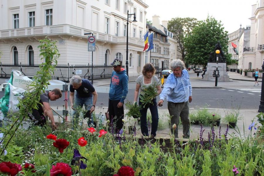 De la Grădina Maicii Domnului la Grădina Marii Uniri. Prinţul Charles a ”sunat” adunarea florilor româneşti la Londra (FOTO)