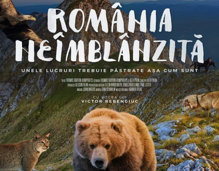 România neîmblânzită, pe marile ecrane
