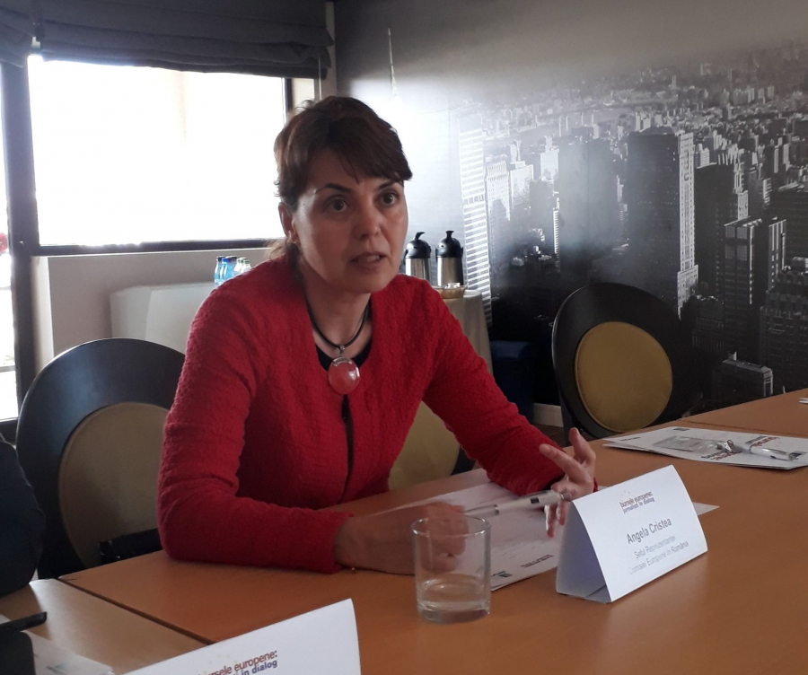 INTERVIU VL | Şefa Reprezentanţei Comisiei Europene la Bucureşti, Angela Cristea: Vânzarea ArcelorMittal Galaţi se va face doar cu aprobarea CE