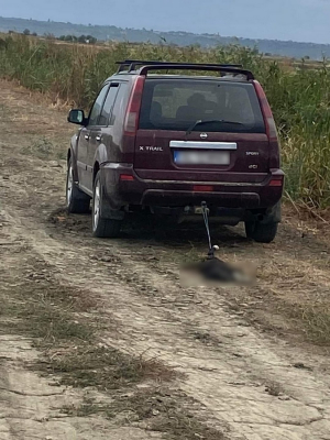 UPDATE: Caz șocant de cruzime împotriva animalelor la Galați! Polițiștii fac cercetări