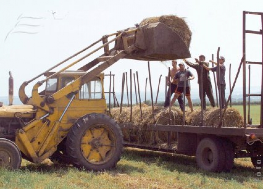 Încă 101 milioane de euro pentru dezvoltare rurală