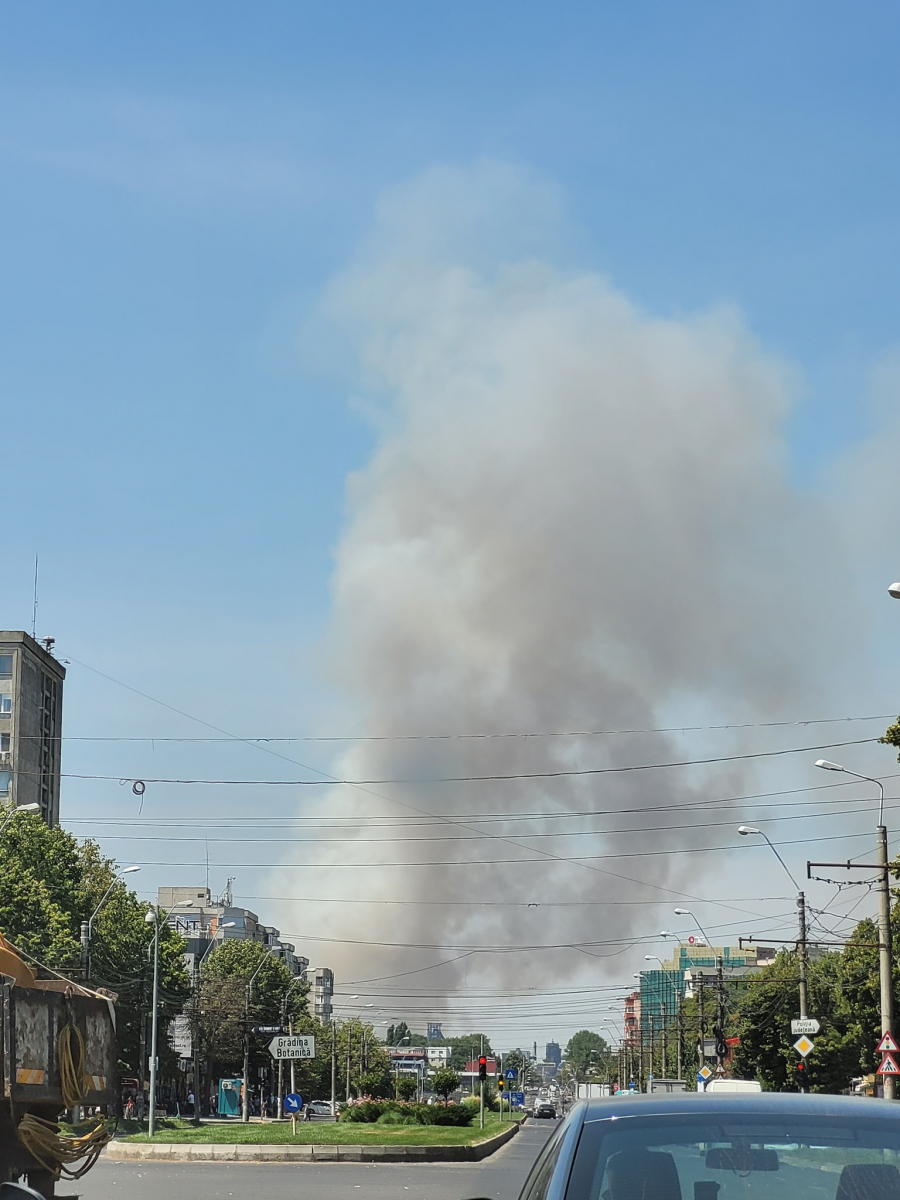 UPDATE: Incendiu violent la marginea Galațiului. Un lan de grâu, ars de la o țigară