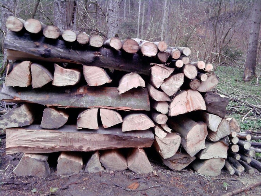 COMBATEREA TĂIERILOR ILEGALE/ Cum va fi urmărit drumul LEMNULUI din pădure în depozit, peste două luni