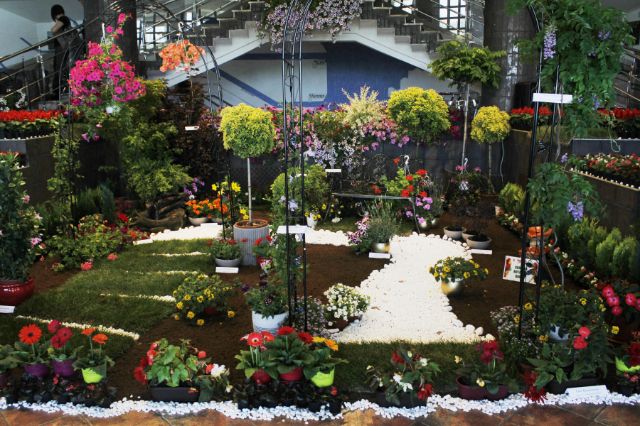 Vara a venit mai devreme la Grădina Botanică din Galaţi