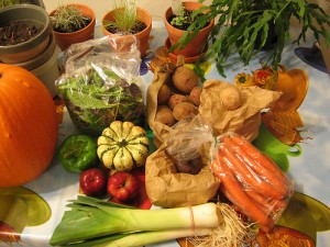 Victor Ponta crede că suprafaţa destinată cultivării produselor bio se va dubla în următorii ani