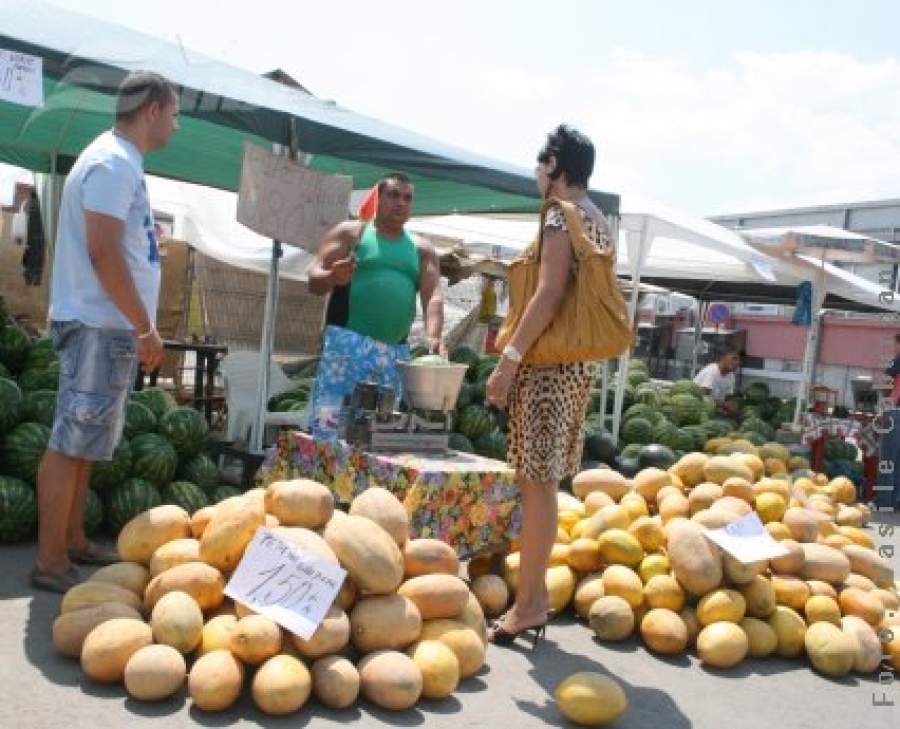 Şi pepeni gălăţeni, nu doar dăbuleni