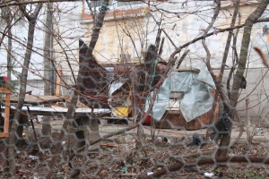 NE SESIZEAZĂ CITITORII: MAIDANEZII fac legea printre blocuri