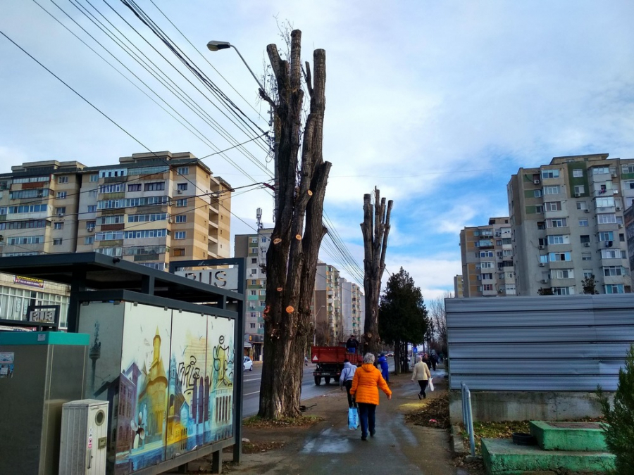 Fasonări pe strada Oțelarilor