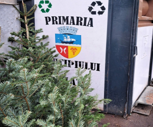 Autoritățile îndeamnă la reciclarea brazilor
