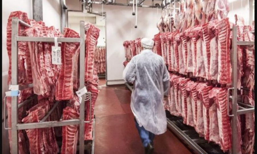 Producție în creștere la carnea de porc