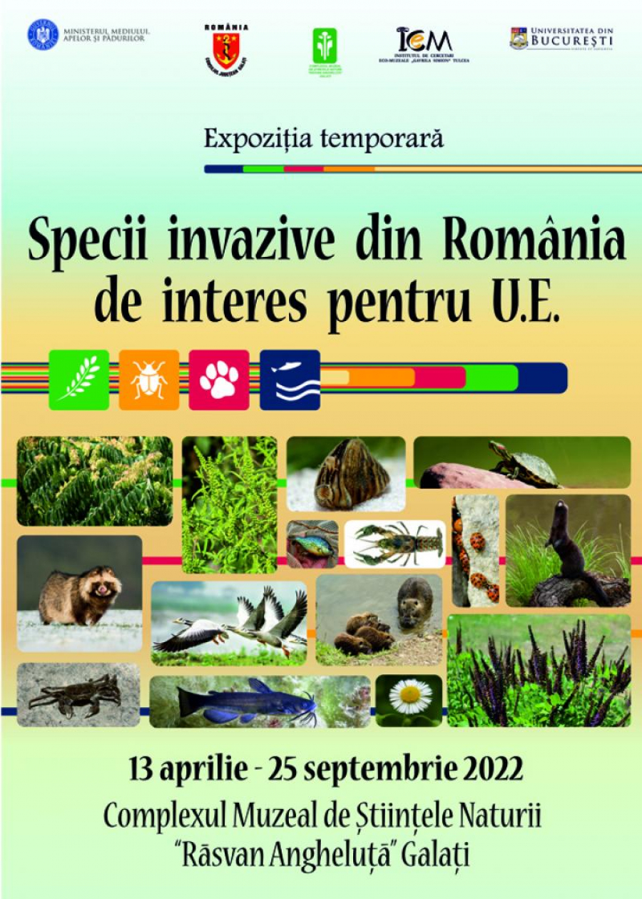 Plante şi animale care amenință mediul