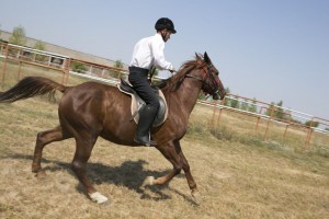 O mână întinsă persoanelor cu dizabilităţi: Hipoterapie la herghelia de la Tuluceşti