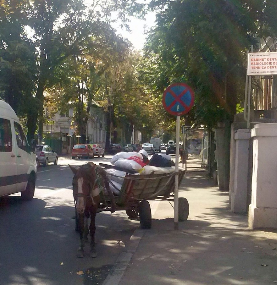 „Maxi-taxi” nepoluant, cu un cal-putere, pe strada Gării