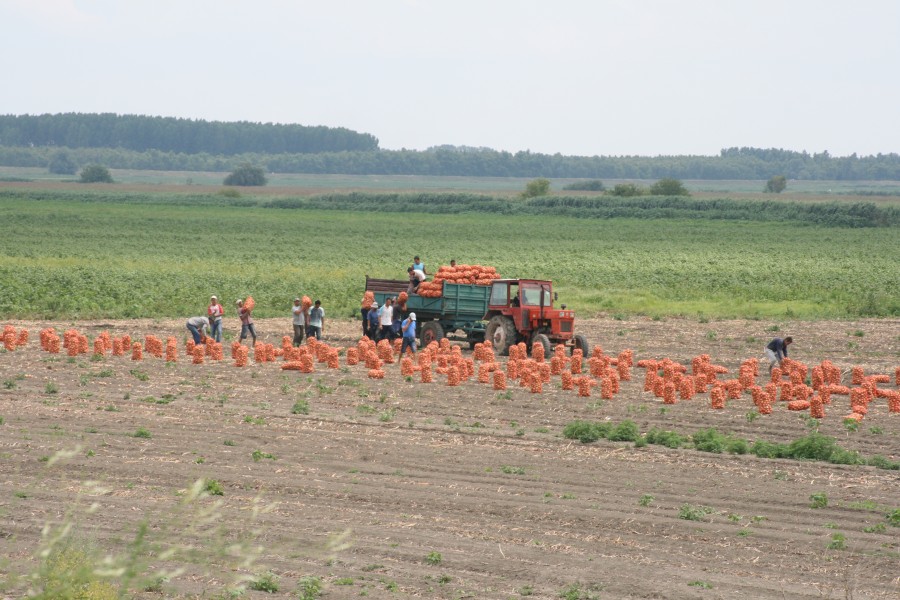 2013 începe cu anchetă structurală în agricultură, la nivel naţional 