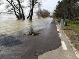 Dunărea a intrat deja pe aleea pietonală de la Faleză