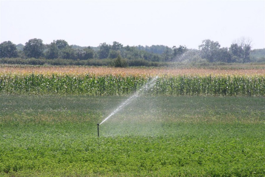 Alte 3.000 de hectare irigate, într-o săptămână