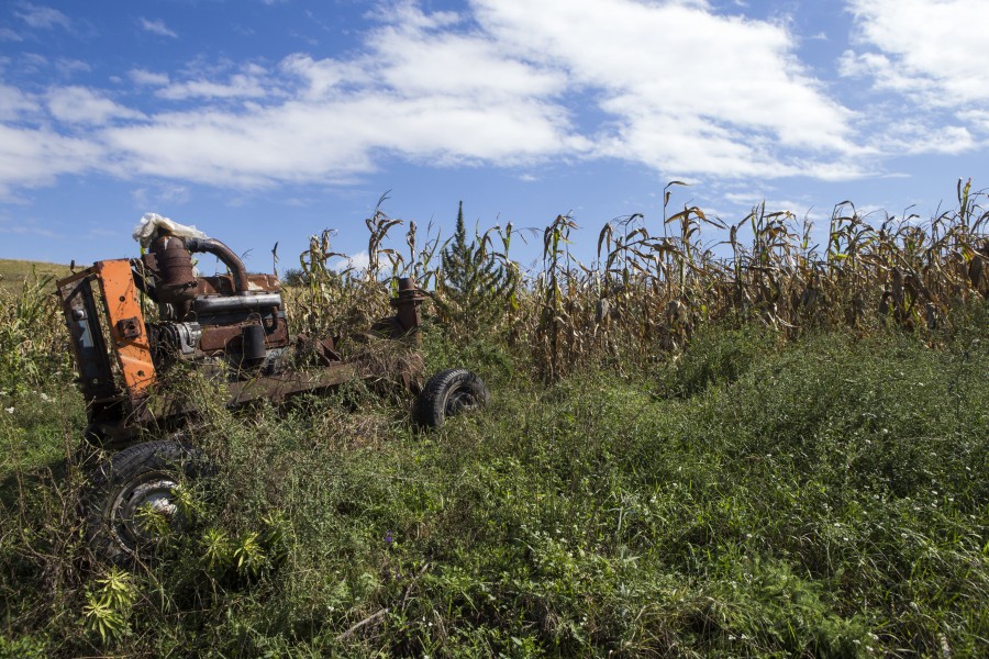 FĂRĂ utilaje nu putem avea PERFORMANŢĂ/ Agricultură capitalistă cu TRACTOARE COMUNISTE 