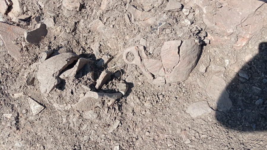 Obiecte vechi de peste 4.000 de ani, descoperite în Harghita