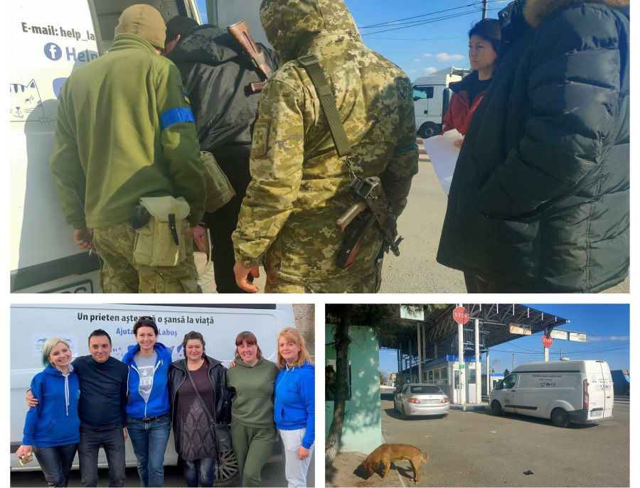 Ajutoare din Galaţi, pentru câinii și pisicile nimănui din Ucraina