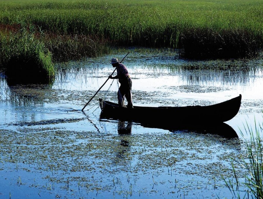 Campanie VL "Pescari pe apa sâmbetei": Renaturarea Luncii Dunării a fost lăsată baltă