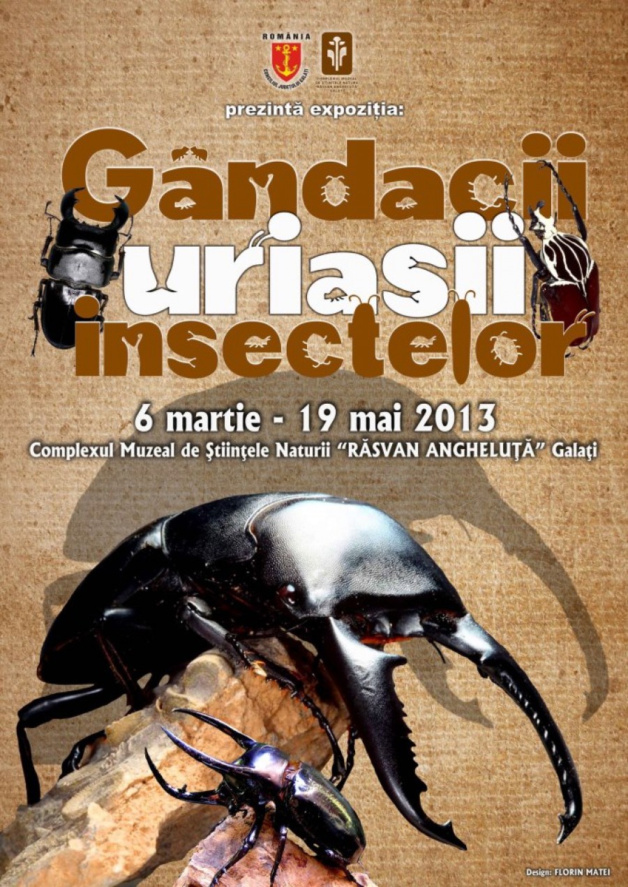 Coleoptere de 17 centimetri! Expoziţia „Gândacii, uriaşii insectelor”